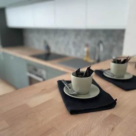 公寓 Vieil 82 M2 With Secured Private Parking 3 *